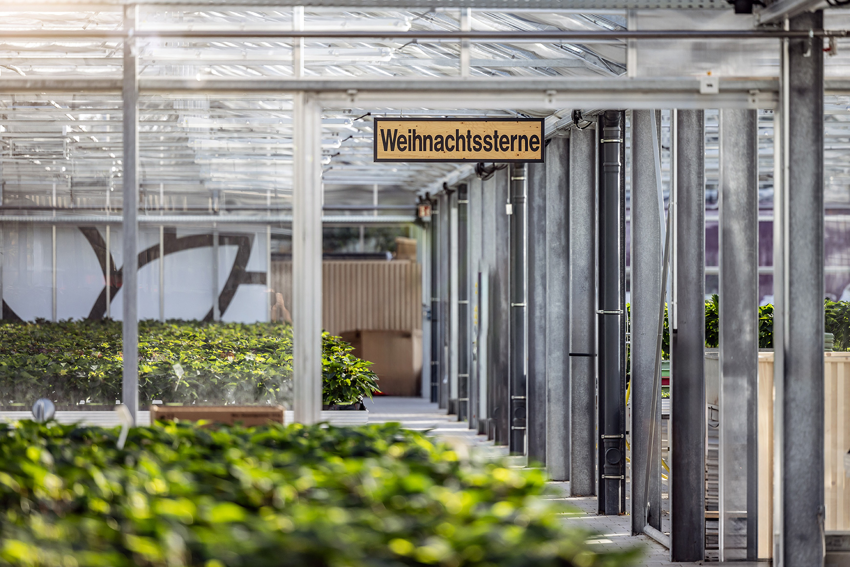 Unser Gewächshaus